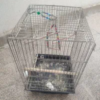 قفس طوطی|لوازم جانبی حیوانات|کرمانشاه, |دیوار