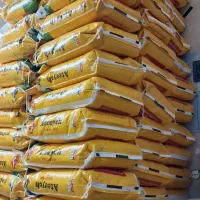 برنج عنبربو لوکس نمونه های مختلف با کالابرگ