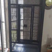 قفس عروس هلندی