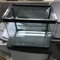 آکواریم کوچک