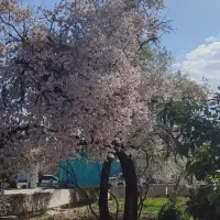 رهن-و-اجاره-باغ-1000-متری-با-110متر-ویلا