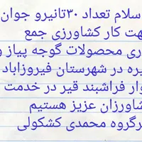 سرکارگر