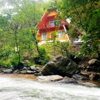 کلبه چوبی امیر دربست