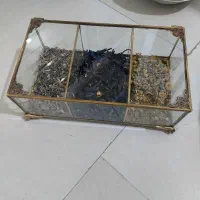 تی بگ طلایی