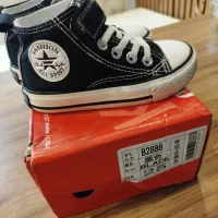 الستاردرحدنو