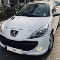 207 پاناروما مدل 1402