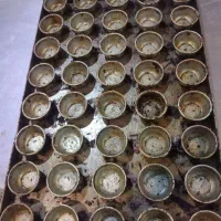 سینی کیک یزدی فنجونی