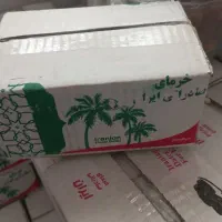 خرمای شاهانی جهرم