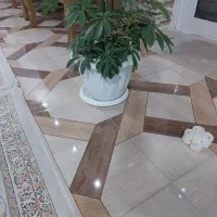 گلهای زیبا با گلدانهای زیبا|گل و گیاه طبیعی|مبارکه, |دیوار