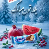 استخدام بازاریاب با حقوق مکفی و پورسانت و پاداش