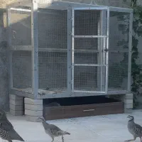 قفس اهنی گالوانیزه مرغ کفتر کبک ۲ طبقه