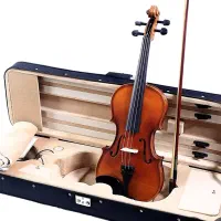 آموزش حرفه ای ویلن  و کمانچه