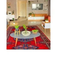 همخونه میشم