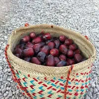 دو کارتن خرما