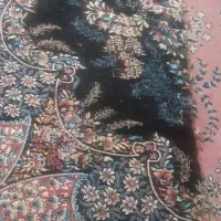 فرش ۱۲|فرش|اندیمشک, |دیوار