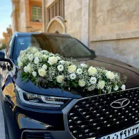 تشریفات مجالس یاسمن بانو