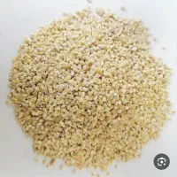 جو بلغور