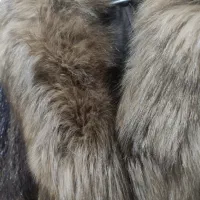 پالتو پوست چیلچیلا اصل|لباس|کرج, انبار مپنا|دیوار