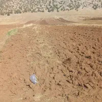 زمین کشاورزی آسمان اباد