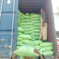 فروش عمده برنج پاکستانی المناره بوشهر