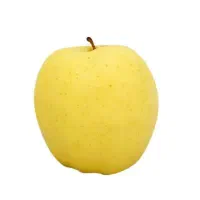 سیب سر درخت