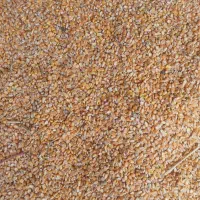 ذرت دونه برزیل