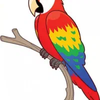 پرنده خانگی پیدا شده