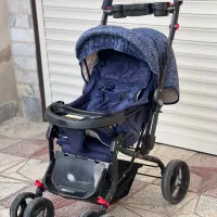 کالسکه دلیجان|کالسکه و لوازم جانبی|تولم شهر, |دیوار