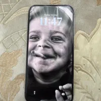 آیفون ۱۴ پرو مکس ریجستر