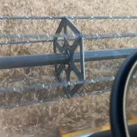 گندوم ابی پیشگام|عمده‌فروشی|مهاباد (آذربایجان غربی), |دیوار