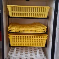 دستگاه جوجه کشی هدایت ۱۲۶ تایی|لوازم جانبی حیوانات|ساری, |دیوار