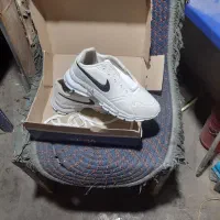 کفش مردانه نو