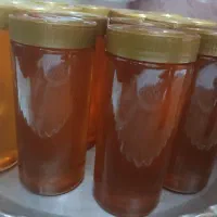 عسل برداشت اول