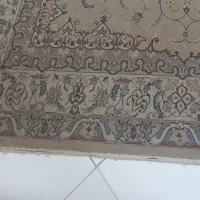 فرش ۶متری  ۵۰۰شانه|فرش|همدان, |دیوار