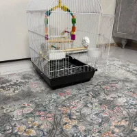 قفس و ویتامین و غذای طوطی