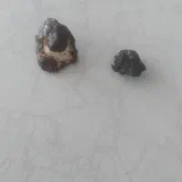 سنگهای فروشی|کلکسیون اشیاء عتیقه|رودهن, |دیوار