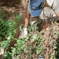 شرکت خدماتی نظافتی راستین هشتگرد|خدمات نظافت|هشتگرد, شهرک بعثت|دیوار