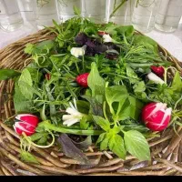 نیرو خانم جهت کار در سبزیجات آماده به طبخ