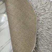 فرش شگی|فرش|رشت, معلم|دیوار