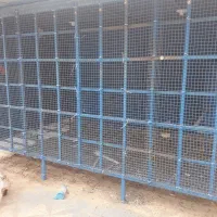 قفس پرنده کبوتر مرغ