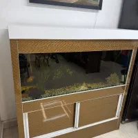 آکواریوم با شیشه ۱۰ میل|ماهی|ارومیه, |دیوار