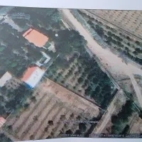 ۸۵۰ مترزمین ۴دیواری سنددار|فروش زمین و ملک کلنگی|محمدشهر, عباس آباد|دیوار