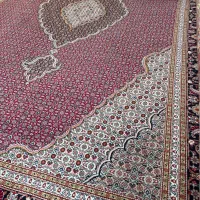جفت ۶ متری ماهی