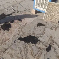 نصب ایزوگام وقیر گونی در بروجرد و روستاهای اطراف|خدمات پیشه و مهارت|بروجرد, |دیوار