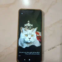 شیائومی ردمی ۱۳