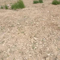 زمین ۲۵۰ متری کوچه ۵ طلاییه