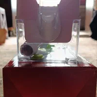 هسته گیر آلبالو گیلاس|ظروف پختوپز|رباطکریم, رباطکریم|دیوار