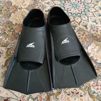 فین شنا
