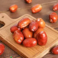 نهالستان رجبی تولید نهال سنجد خرمایی|خدمات باغبانی و درختکاری|نسیم‌شهر, |دیوار