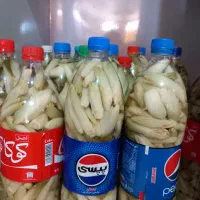 ترشی بیلهر